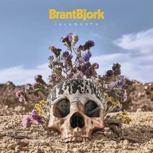 Brant Bjork and the Bros, Vinyl JALAMANTA