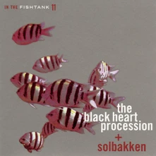 Vinyl IN THE FISHTANK (SILVER)
