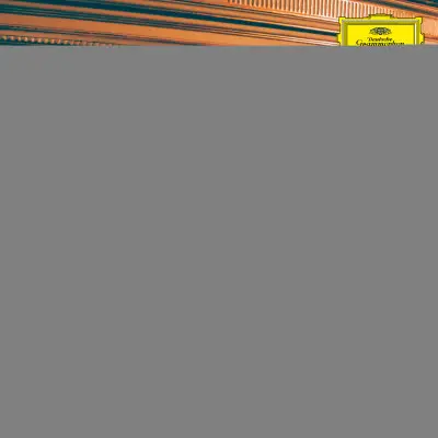 PARALLELS: SHELLAC REWORKS
