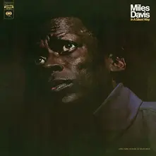 Vinyl IN A SILENT WAY