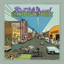 Vinyl SHAKEDOWN STREET