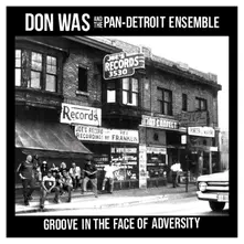 Don Was, Vinyl GROOVE IN THE FACE OF ADVERSITY