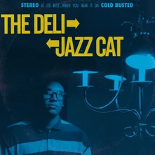 Vinyl Jazz Cat