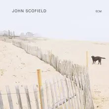 Vinyl JOHN SCOFIELD