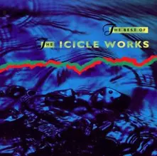 The Icicle Works, CD BEST OF