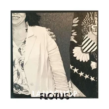 Lambchop, CD LAMBCHOP - FLOTUS
