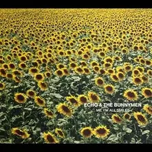 ECHO & BUNNYMEN - ME, I'M ALL SMILES thumbnail