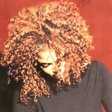 Vinyl The Velvet Rope
