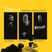 Trifecta, CD FRAGMENTS / THE NEW NORMAL