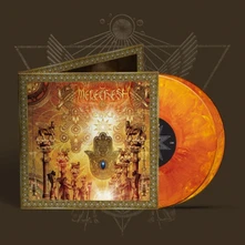 Vinyl ENKI