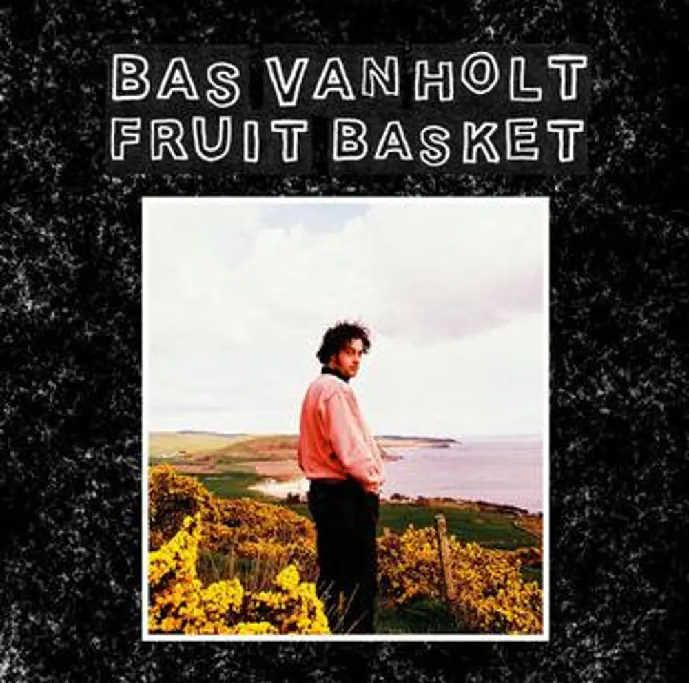 FRUIT BASKET
