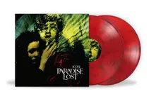 Vinyl Icon