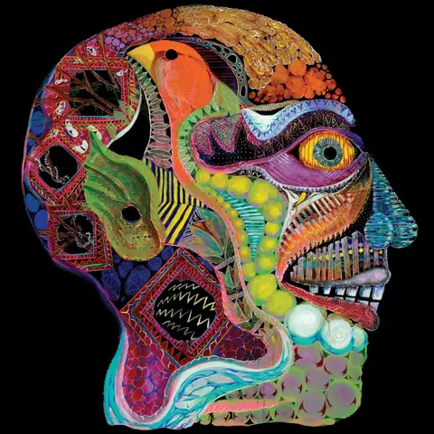 Osees – Vinyl CARA MALUCO