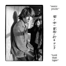 Sonic Youth, Vinyl HOLD THAT TIGER