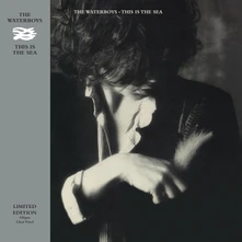 The Waterboys, Vinyl THIS IS THE SEA