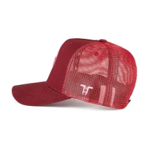 TT Core Pink Logo thumbnail