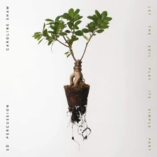 Caroline Shaw & Sō Percussion, CD LET THE SOIL PLAY ITS SIMPLE PART