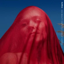 Ane Brun, CD HOW BEAUTY HOLDS THE HAND OF SORROW