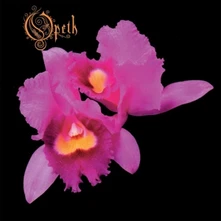 CD ORCHID