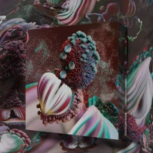 Björk, Vinyl Fossoræ (Deluxe Edition)