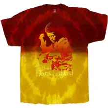 Electric Ladyland thumbnail
