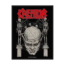 Skull & Skeletons