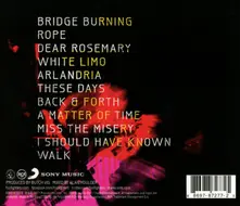 Wasting Light thumbnail