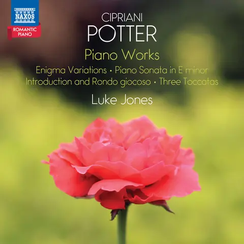 POTTER: PIANO WORKS