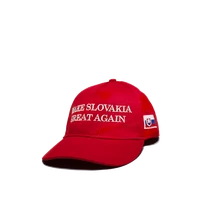 Make Slovakia Great Again thumbnail