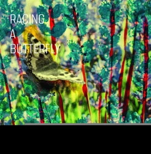 Anne Mette Iversen, Vinyl Q... - RACING A BUTTERFLY