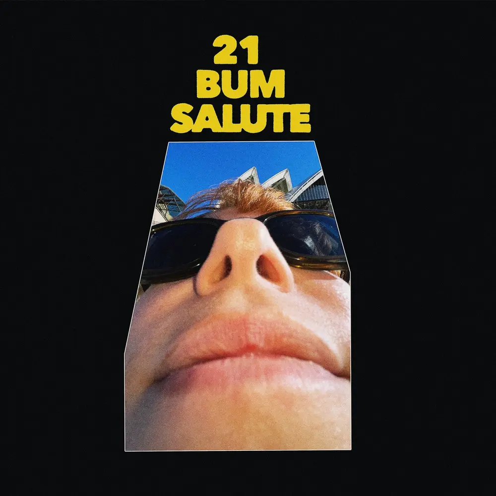 Party Dozen – 21 BUM SALUTE (Transparent Vinyl) (Vinyl)