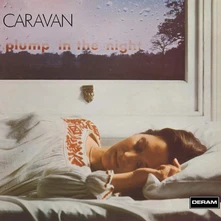 Vinyl FOR GIRLS WHO GROW PLUMP IN THE NIGHT