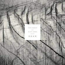 Tom Hobden, CD ROAM