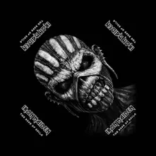 The Book of Souls thumbnail