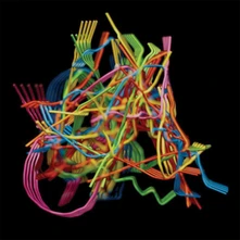 CD PERPETUAL MORPHOSIS