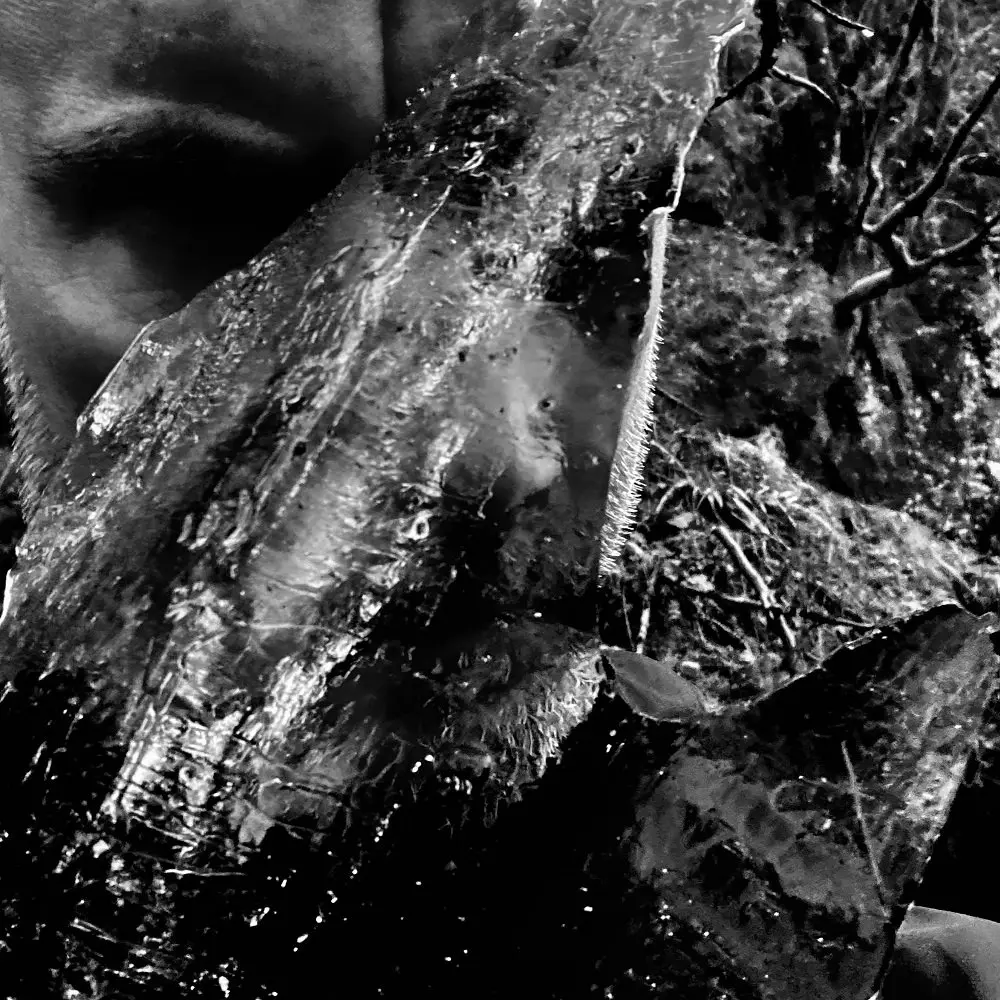 Taake – EN SKOG AV NIDSTANG (CD)