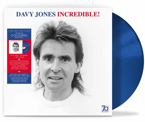 Davy Jones – Vinyl INCREDIBLE!