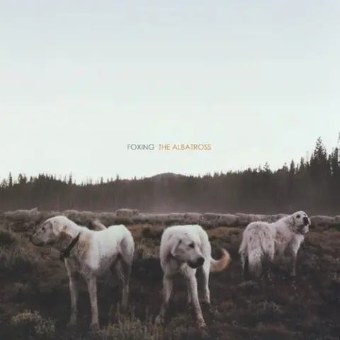 Foxing – Vinyl THE ALBATROSS