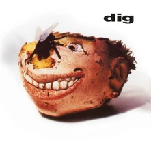I am unable to determine the artist or band name based on the provided information., Vinyl DIG