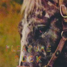 The Spirit of the Beehive, Vinyl PLEASURE SUCK