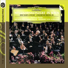 NOVOROCNI KONCERT 1987 thumbnail