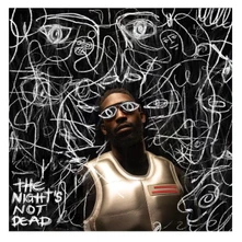 Tinie Tempah, Vinyl THE NIGHT'S NOT DEAD