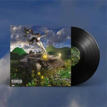 Vinyl LAST YEAR WAS WEIRD VOLUME. 3