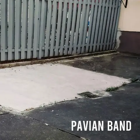 PAVIAN BAND