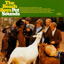 Vinyl PET SOUNDS/STEREO LP