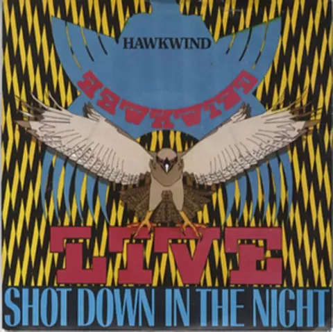 SHOT DOWN IN THE NIGHT