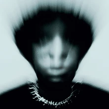 Gallant, Vinyl ZINC