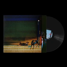 Vinyl PURE DEVOTION