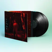 One True Pairing, Vinyl ENDLESS RAIN