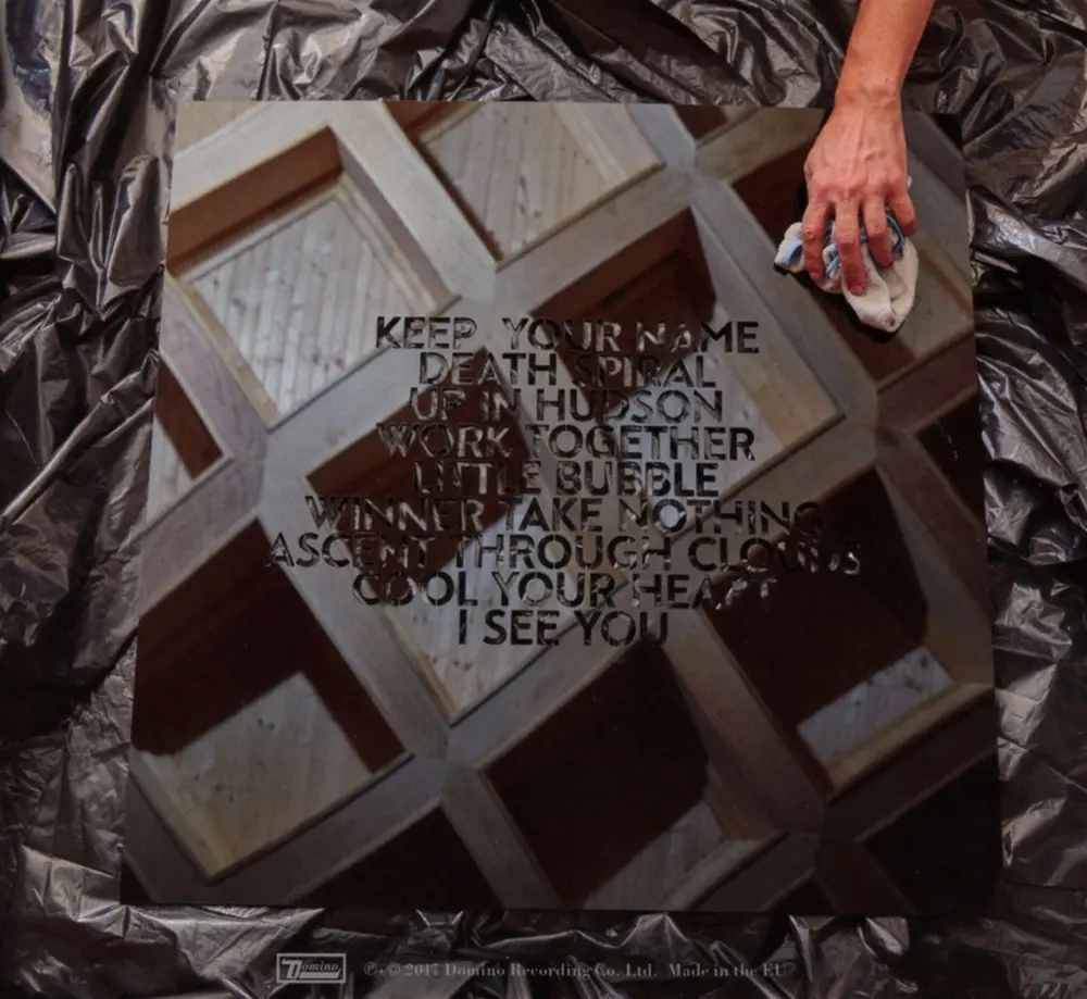 DIRTY PROJECTORS (CD)